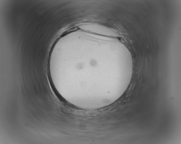 X0000068830003200606021655