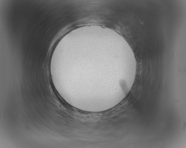 X0000068830004200606021655