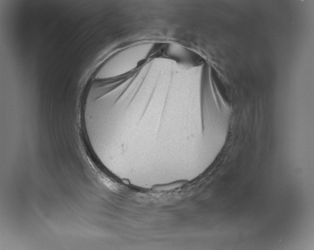 X0000068830005200606021655