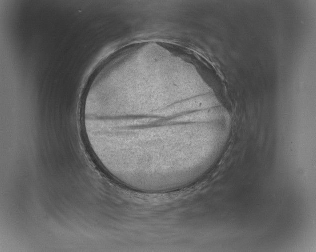 X0000068830006200606021655