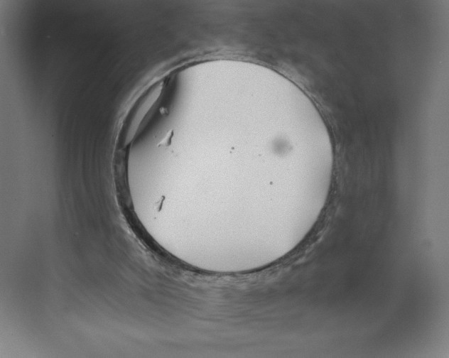 X0000068830007200606021655