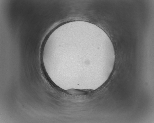 X0000068830008200606021655