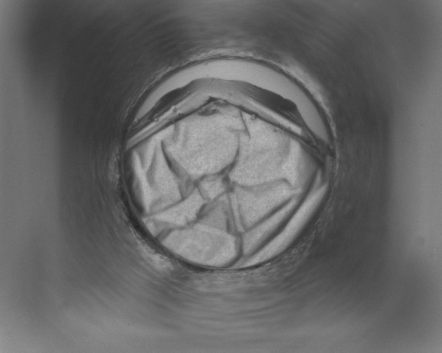 X0000068830009200606021655