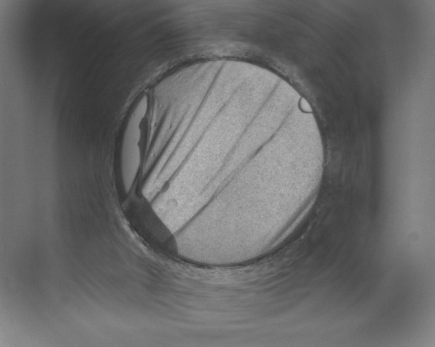 X0000068830010200606021655