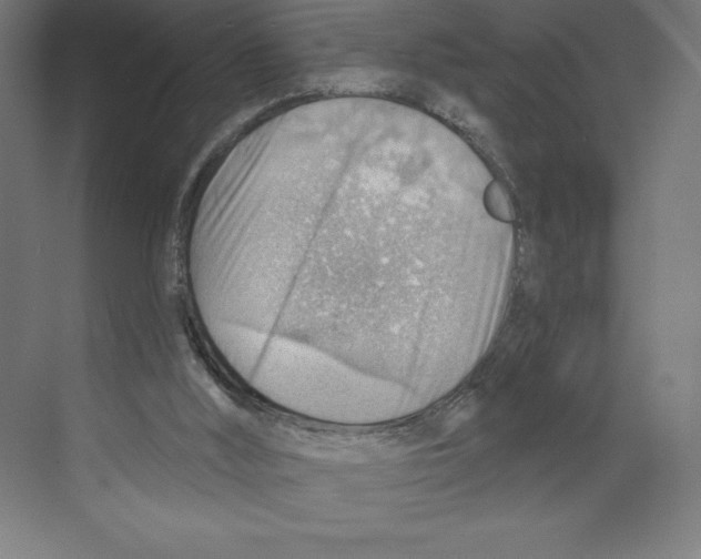 X0000068830012200606021655