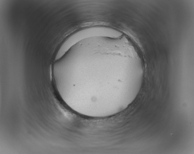 X0000068830013200606021654