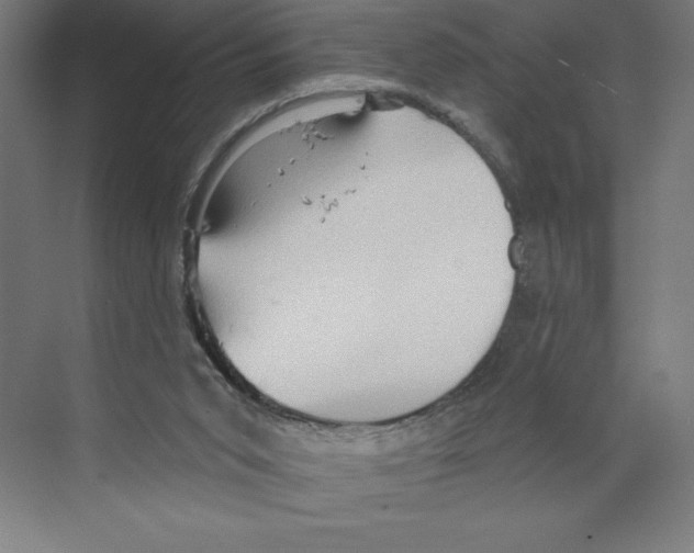 X0000068830015200606021654