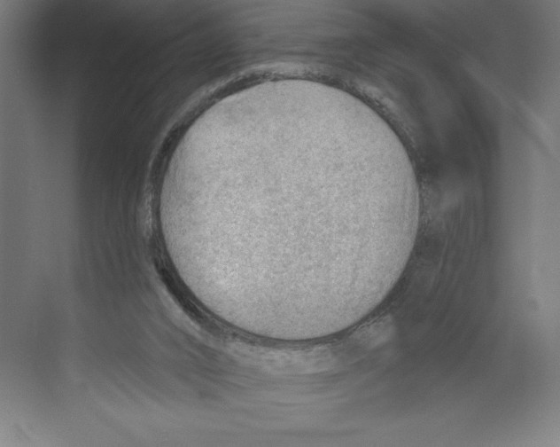 X0000068830016200606021654