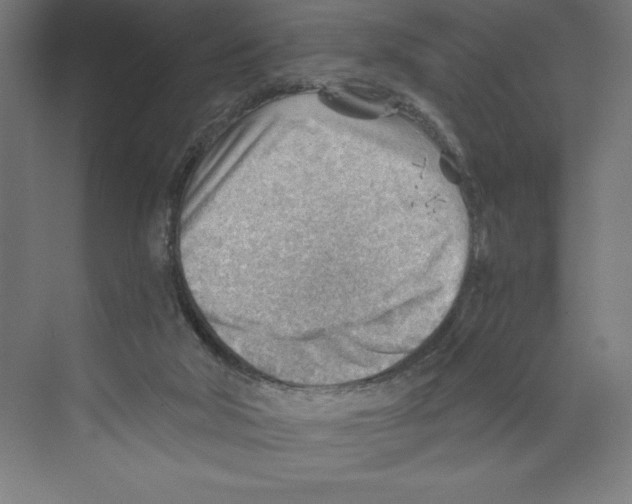 X0000068830018200606021654