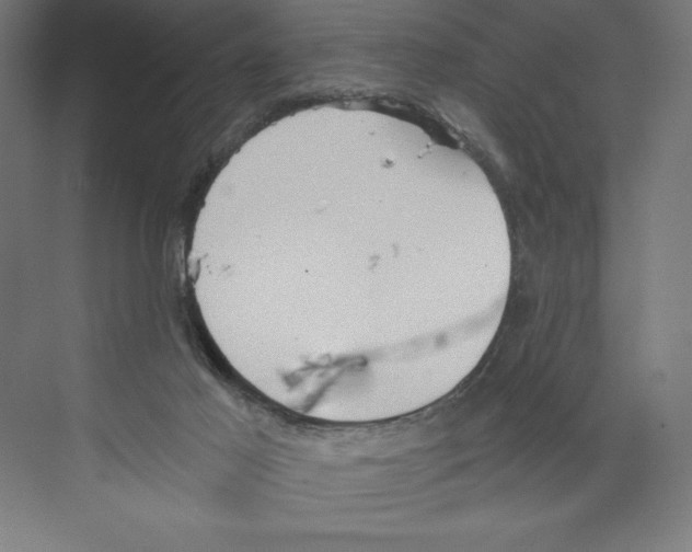 X0000068830021200606021654