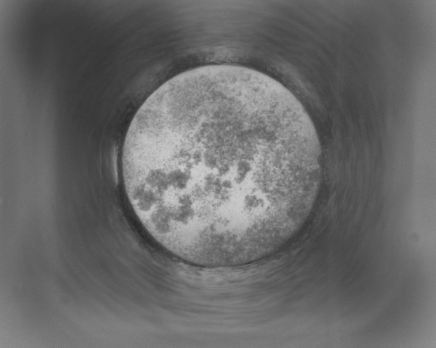 X0000068830022200606021654