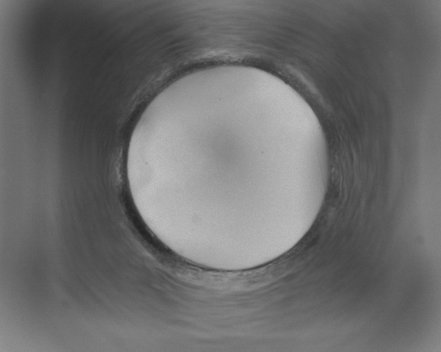 X0000068830023200606021654