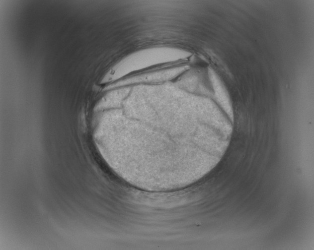 X0000068830026200606021654