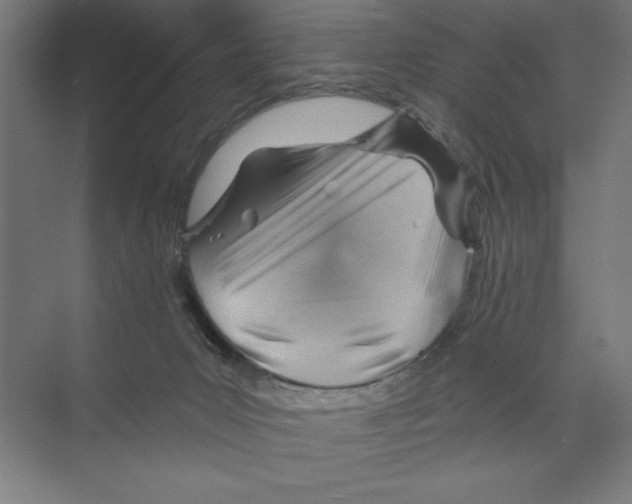 X0000068830031200606021654