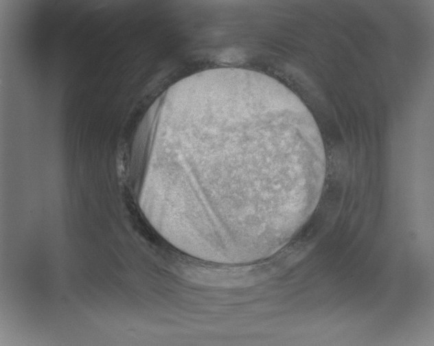 X0000068830032200606021654