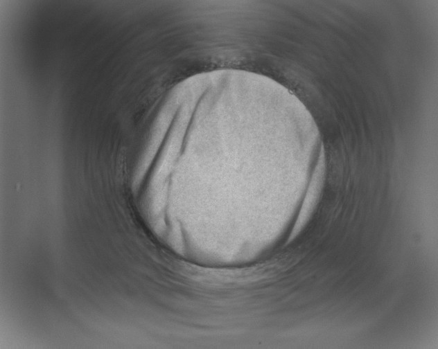 X0000068830034200606021654