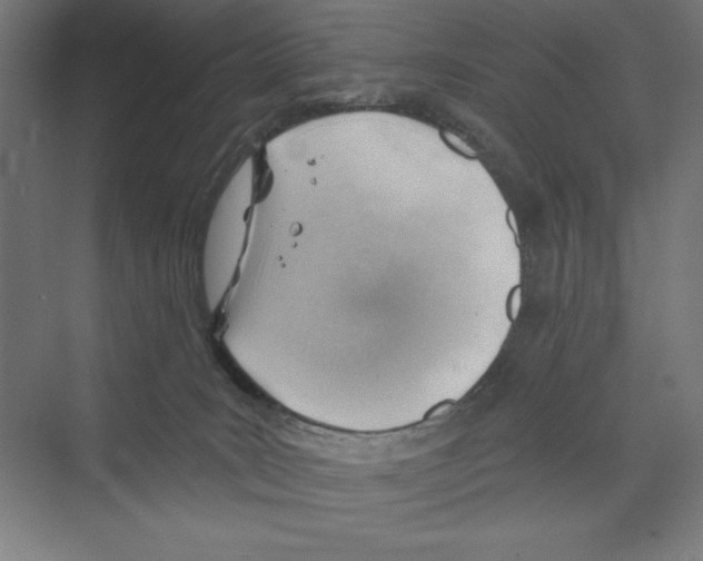 X0000068830035200606021654