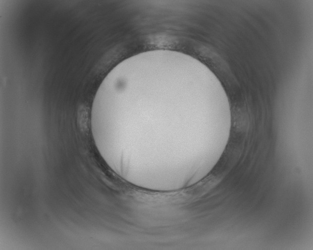 X0000068830036200606021654