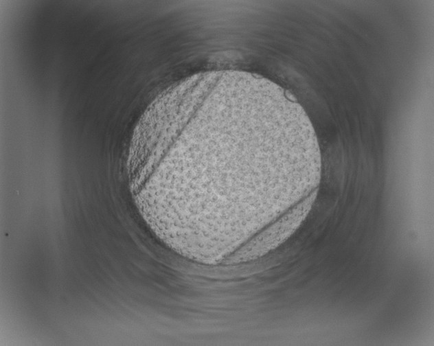 X0000068830038200606021654