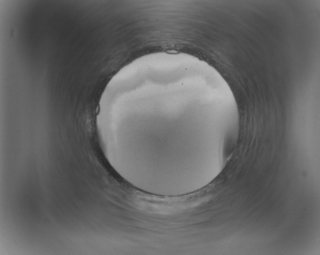 X0000068830039200606021654