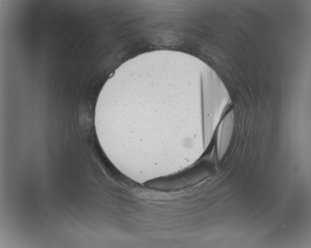 X0000068830040200606021654