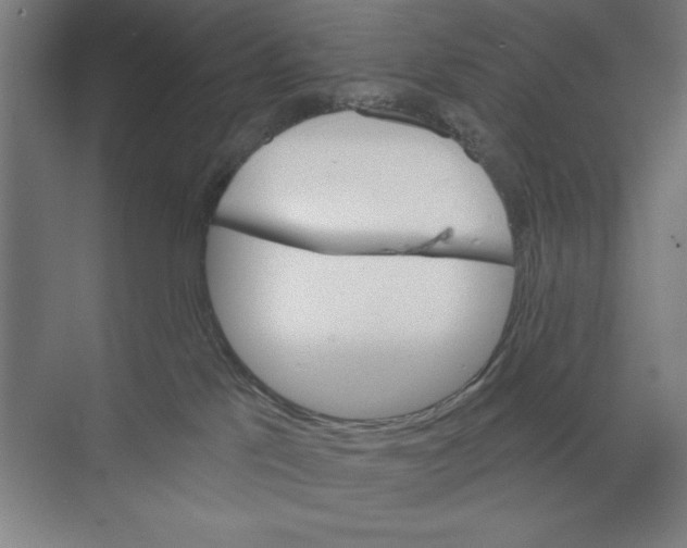 X0000068830041200606021654