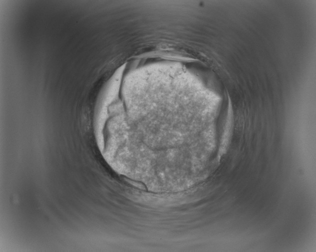 X0000068830043200606021654