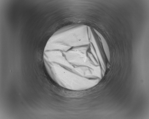 X0000068830044200606021654