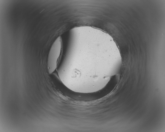 X0000068830045200606021654