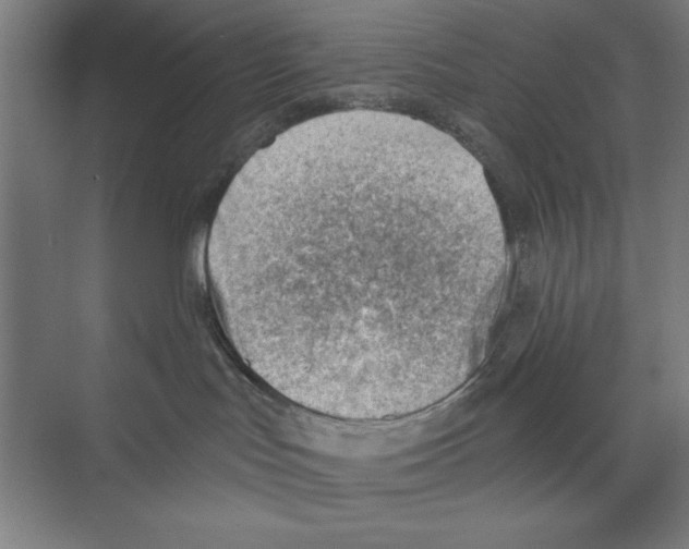 X0000068830047200606021654