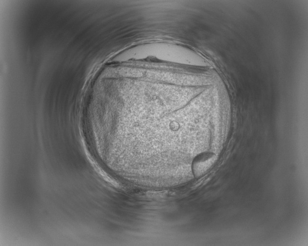 X0000068830049200606021653