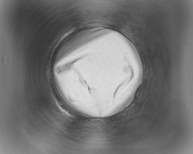 X0000068830050200606021653