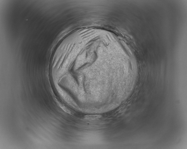 X0000068830051200606021653