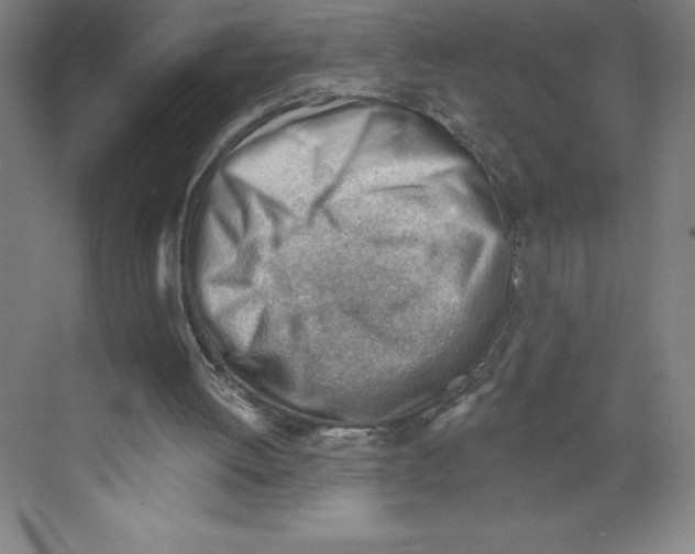 X0000068830052200606021653