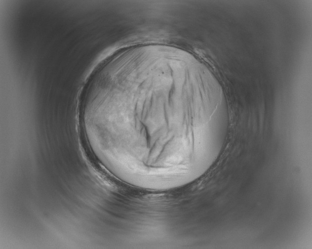 X0000068830054200606021653