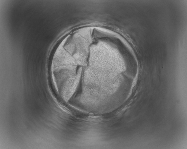 X0000068830055200606021653