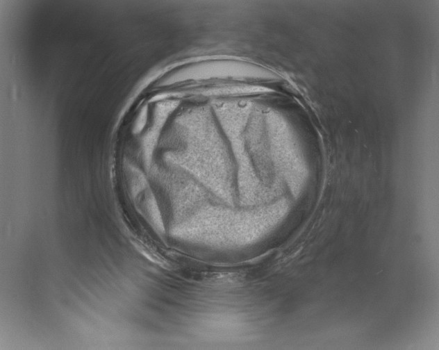 X0000068830056200606021653