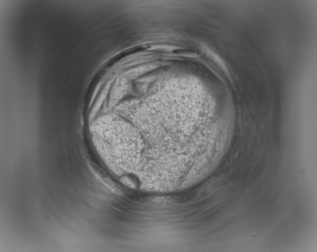 X0000068830059200606021653