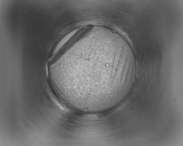 X0000068830061200606021653