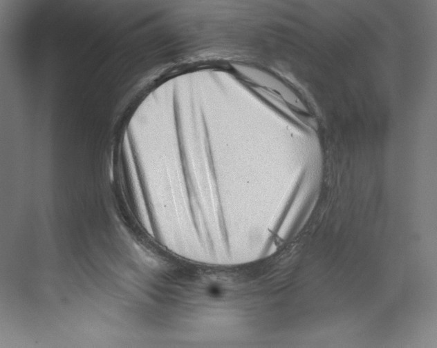 X0000068830062200606021653