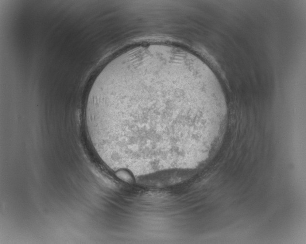 X0000068830063200606021653