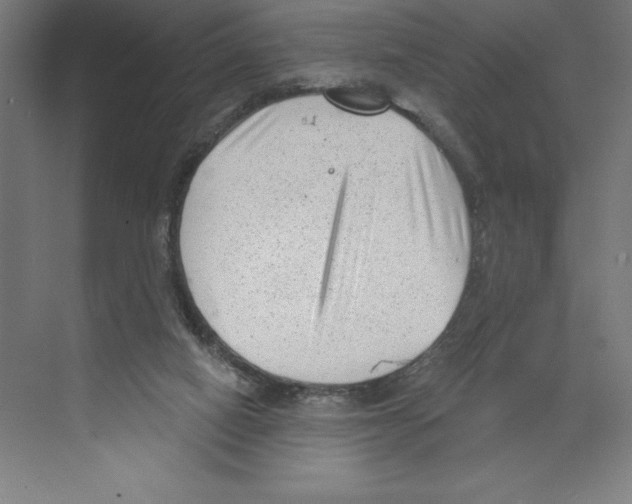 X0000068830066200606021653