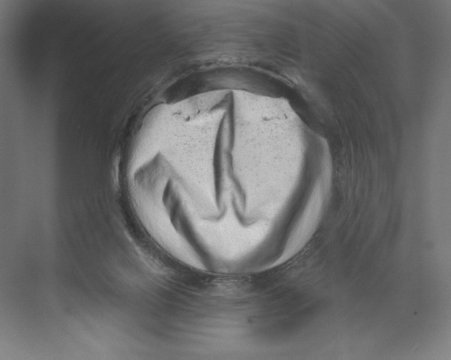 X0000068830070200606021653