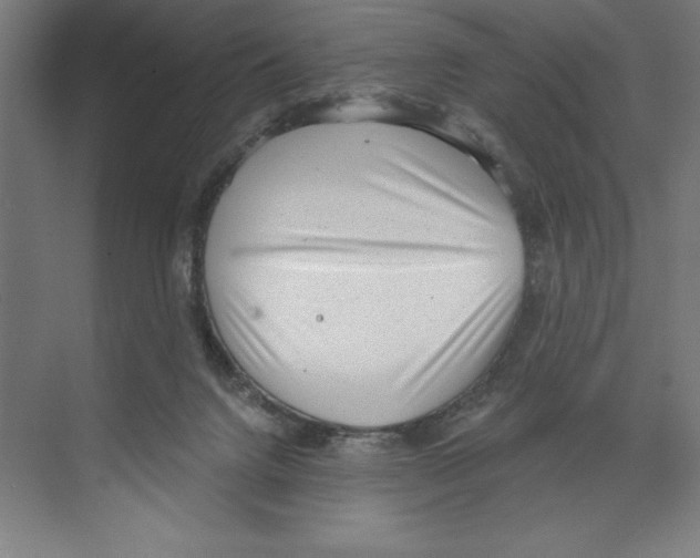 X0000068830072200606021653