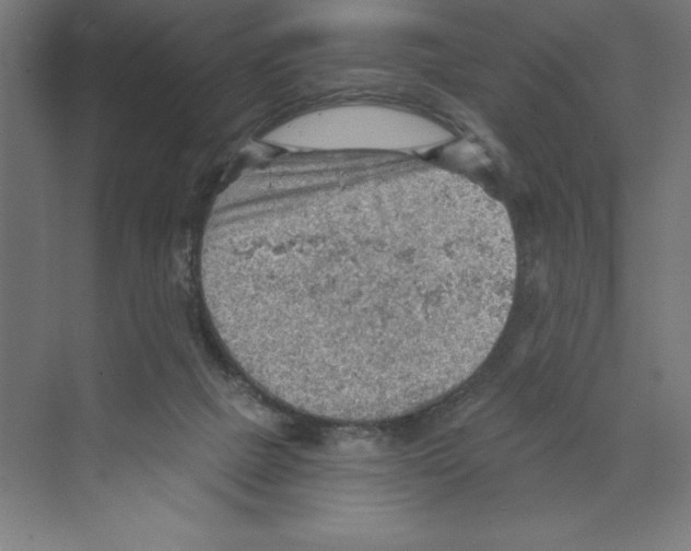 X0000068830073200606021654