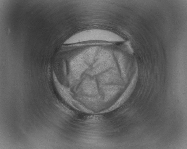 X0000068830077200606021654