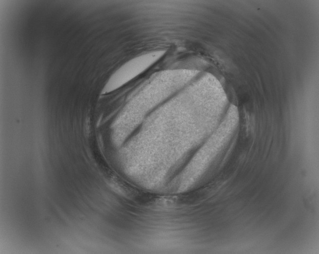 X0000068830080200606021654