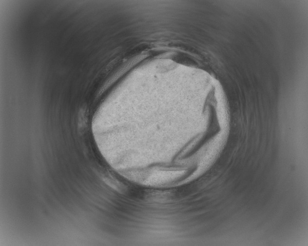 X0000068830081200606021654