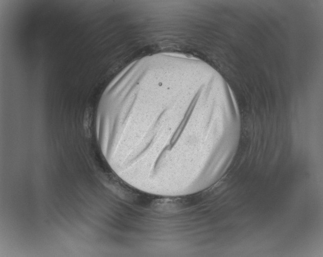 X0000068830082200606021654