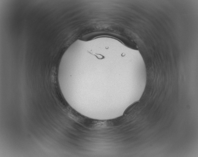 X0000068830083200606021654